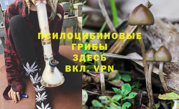 гашишное масло Вяземский