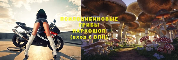 твердый Вязники