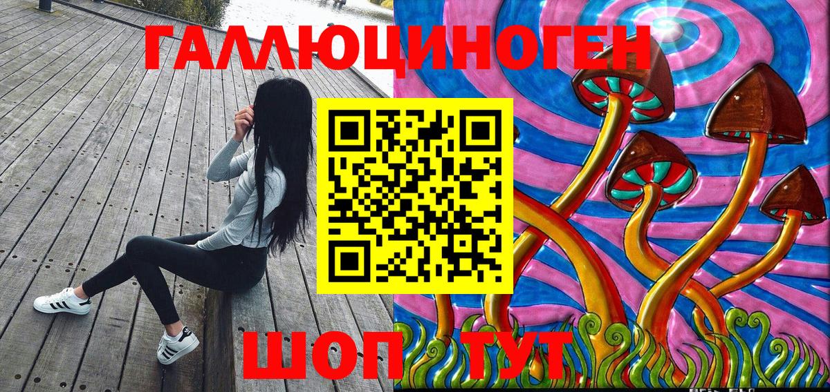 Псилоцибиновые грибы Psilocybine cubensis Десногорск