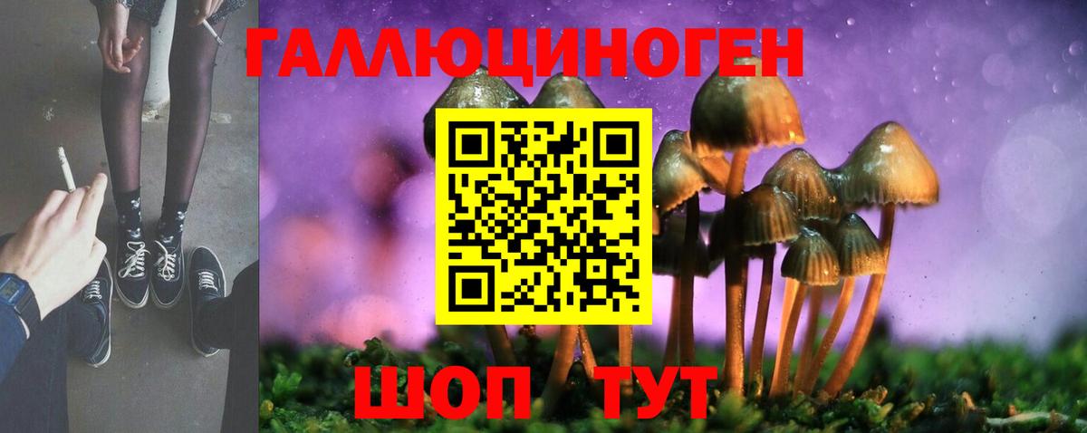 Псилоцибиновые грибы Cubensis  Вход с VPN  Десногорск 